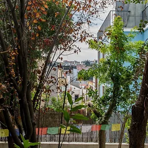 Lost :: Avenida House Portekiz